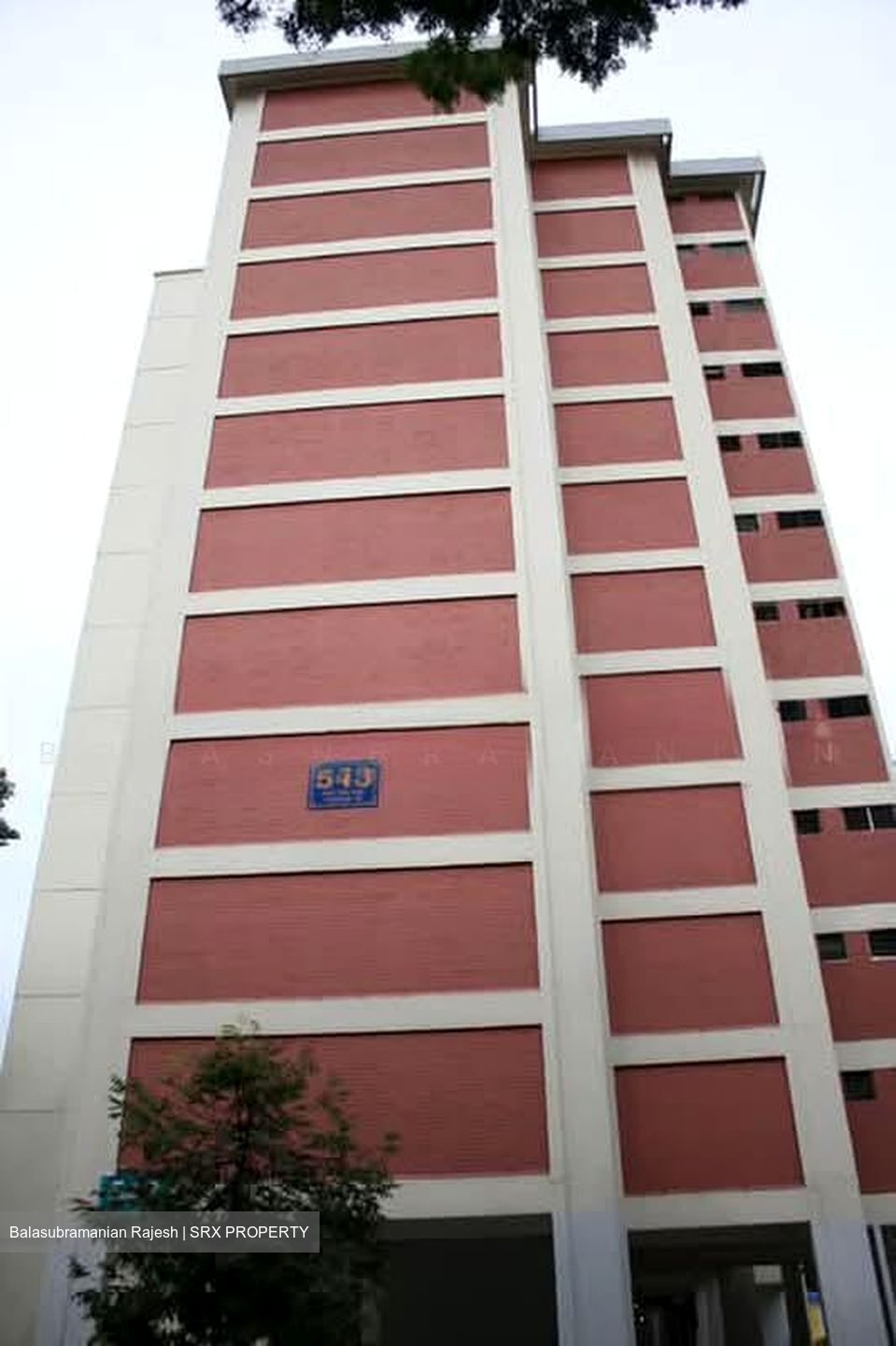 Blk 543 Ang Mo Kio Avenue 10 (Ang Mo Kio), HDB 4 Rooms #598218011
